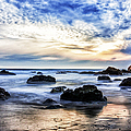 Cayucos Quietude