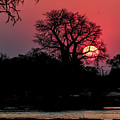 Setting Sun on the Zambezi River
